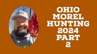 Ohio Morel Hunting Part Two The Quest For Nice Sponges & We Got Lost