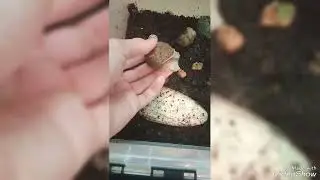 Мои обновления в коллкекции! Возрождение канала и планы на будущее.