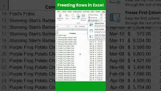 FREEZING ROWS IN EXCEL