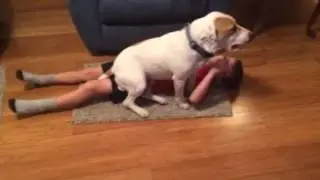 Dog sitting on kid