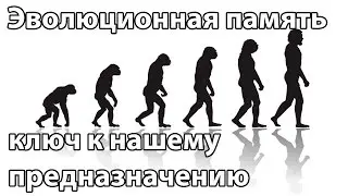 Эволюционная память ключ к нашему предназначению