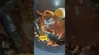 Crab! #shorts