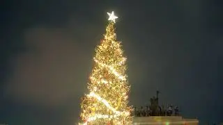 Немного новогоднего Санкт Петербурга