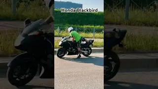 ✌🏍 