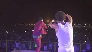 FESTIVAL BAÍA DAS GATAS 2022