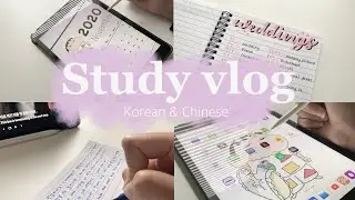 Let’s study languages |Korean & Chinese |a productive study vlog