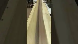 Шпон Тулипвуд