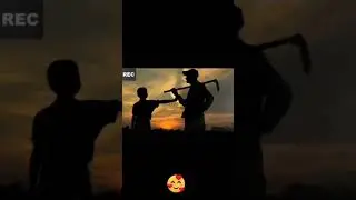 Супер присылка из "Солнышки"