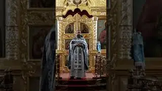 Проповедь отца Андрея Зуевского в праздник Сретения Владимирской иконы Пресвятой Богородицы