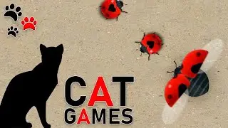 Cat Games Catching Ladybug On The Screen
