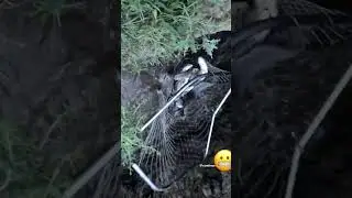 Рыбалка на подсаку ! Вот это рыбалка! #fish