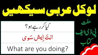 Learn Local Arabic - Easy Arabic Sentences for Fluent Speaking - Arabic Learning