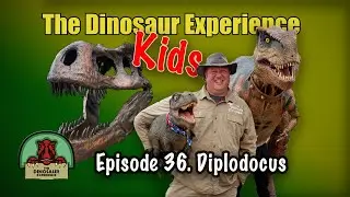 TDE Kids Live - Diplodocus