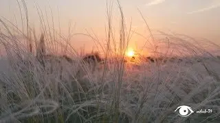 Качалино