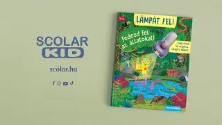 Klara Tünner: Lámpát fel! Fedezd fel az állatokat!