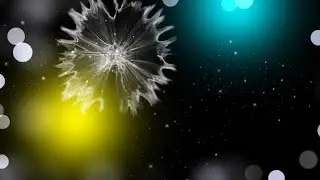 Light effect black screen | New effect video background 2021 (Wd Wedding Effects)