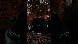 5 августа 2024 г.