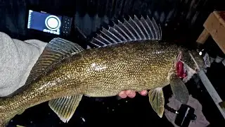 Valentine's Day Walleye while Ice Fishing