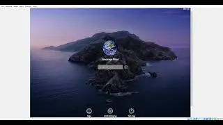 Mac OS Catalina startup (Virtualbox edition)