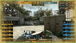 blameF фармит VP (CS GO)