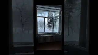 2 февраля 2024 г.