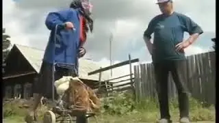 Тьфу дурак