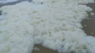 Sea Foam