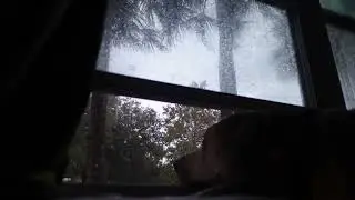 Rain And Wind For Sleeping And Relaxing  #asmr #asmrsounds #deepsleep #rainsounds #Relaxingrain