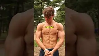 why your not building muscle