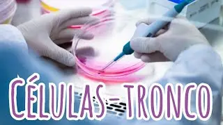Células-tronco