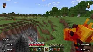 Minecraft but your weapon EVOLVES