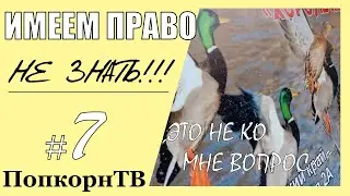 МАРКИ И БАБКИ №7
