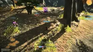 Final Fantasy XIV A Realm Reborn - Archer Combat