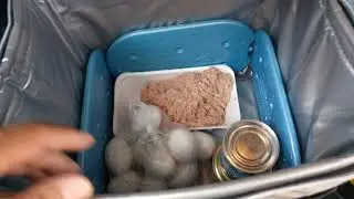Сумка холодильник