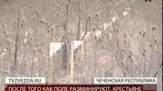 Российские солдаты ведут разминирование в Чечне