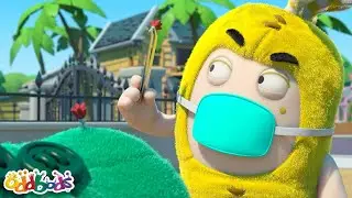 A Rogue Bear Enters Oddsville!  | Oddbods Cartoons | Funny Cartoons For Kids