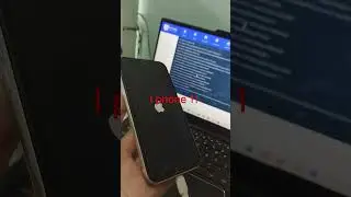#iphone11