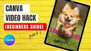 Unlock the Secrets of Canva Video Hack - Episode 1!