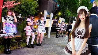 Tokyo Akihabara🐶Typhoon No.10! 💖4K relax/study non-stop 1 hour
