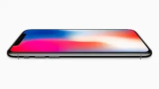 Bingocat Gets An IPhone X!