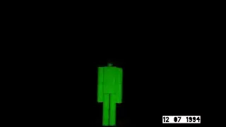 RESTRICTED_Disappearance_12_07_1994.mp4