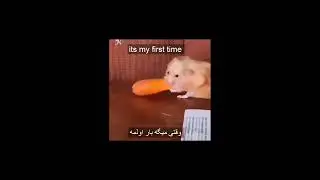 its my first time بار اولمه