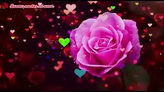 Bello Mensaje De Amor 💕 Para Dedicar@matildemarilespinoza48