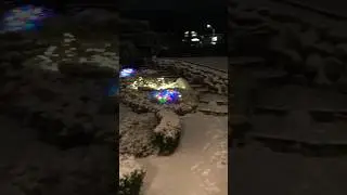 Snow! Finally!!!! #christmas #freeride #fingerboard #ISJT