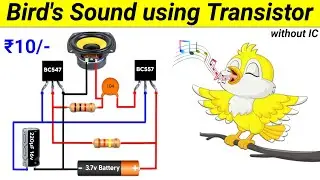 How to make a Bird's Sound Circuit using Only Transistor || Door Bell Circuit || SKR Electronics Lab