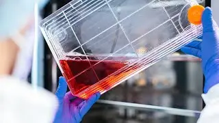 Trailblazing New Connections in Medicine