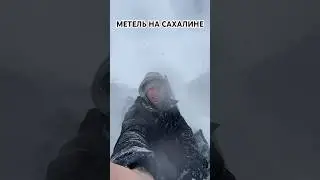 МЕТЕЛЬ НА САХАЛИНЕ / НЕ ДОЕХАЛ ДО ДОМУ