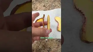 Freeze Drying VS Dehydrating: Peaches!