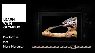 Learn With Olympus (14) | ProCapture