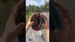 1V1 Against a Chicken In Rust